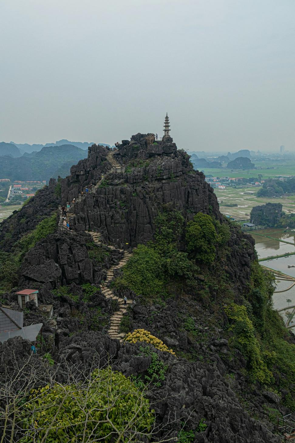 Terrace view